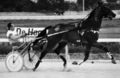George Agius jockey.JPG