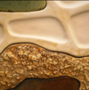 Pangaea, (detail) – Earthenware Clay, 2010.png