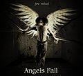 Angels fall CD front.JPG